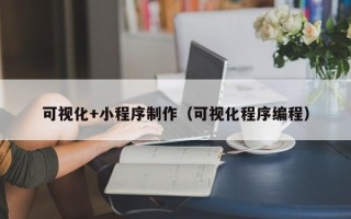 泉州可视化+小程序制作（可视化程序编程）